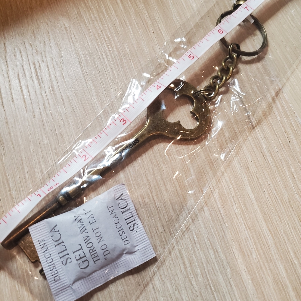 3/$20 Key to Success Key Chain - Picture 3 of 3
